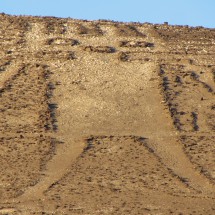 Gigante de Atacama with 86 meters high the largest geoglyph on earth